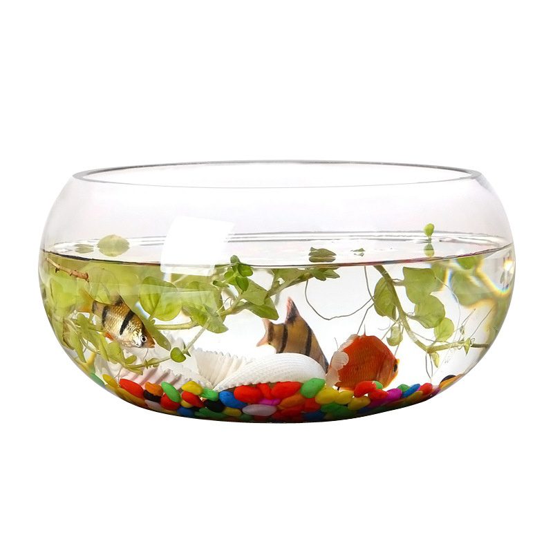 Wholesale Glass Vase HP-003 - Image 5